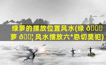 绿萝的摆放位置风水(绿 🐈 萝 🐦 风水摆放六*
忌切莫犯)
